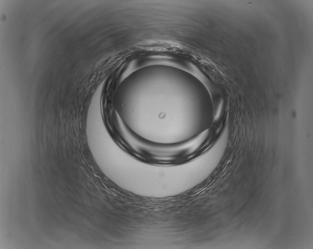 X0000085320965200703091507