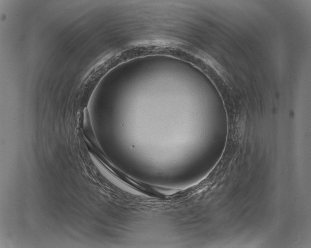 X0000085320967200703091507