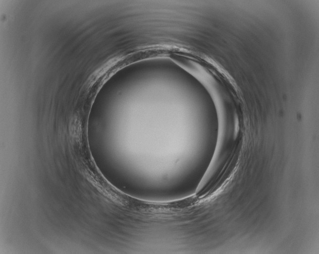 X0000085320969200703091507