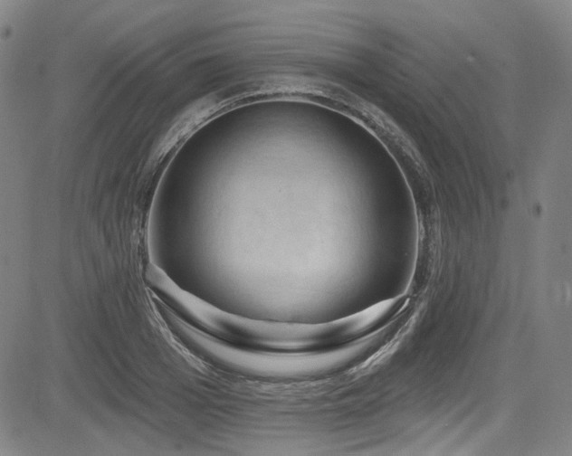 X0000085320985200703091507