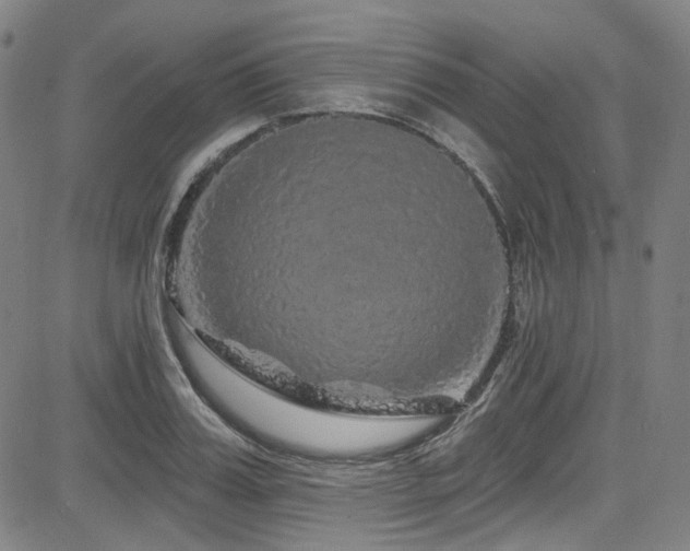 X0000085320987200703091507