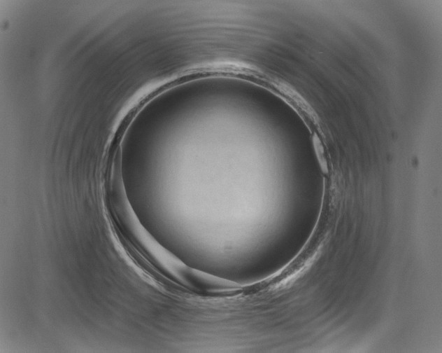 X0000085320989200703091507