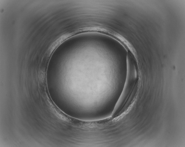 X0000085320993200703091507