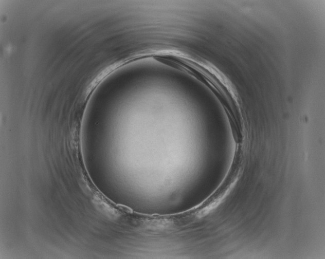 X0000085321001200703091507