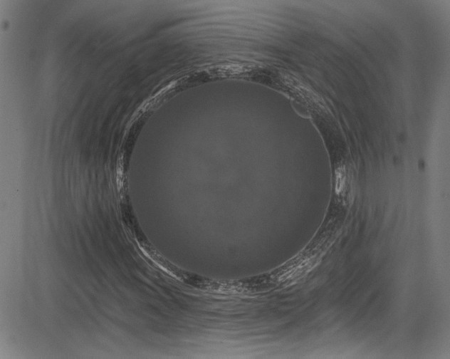 X0000085321011200703091506