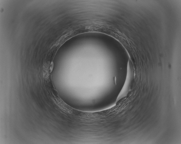 X0000085321012200703091506