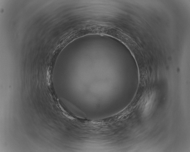 X0000085321013200703091506