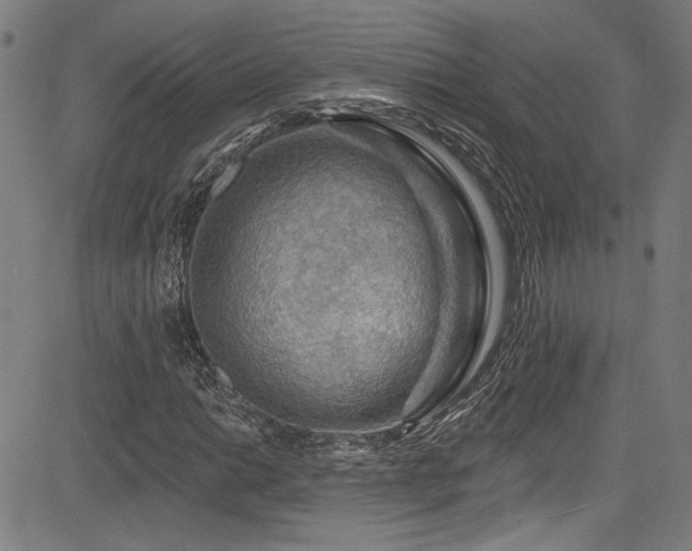 X0000085321014200703091506