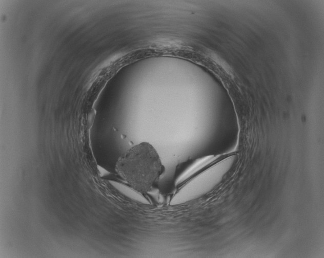 X0000085321016200703091506