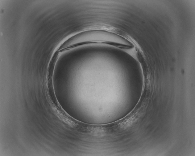 X0000085321020200703091506