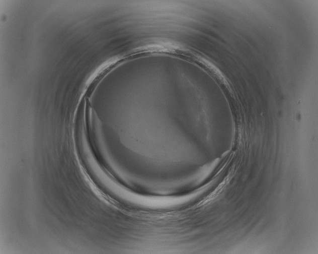 X0000085321034200703091506