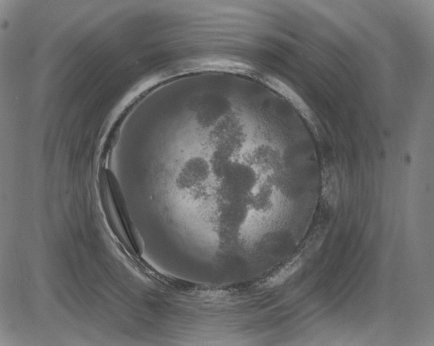X0000085321043200703091506