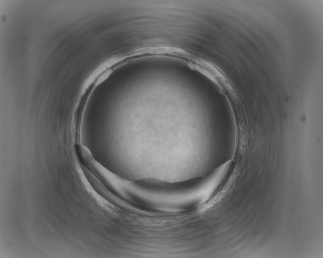 X0000085321046200703091506