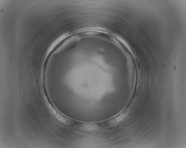 X0000085321050200703091506