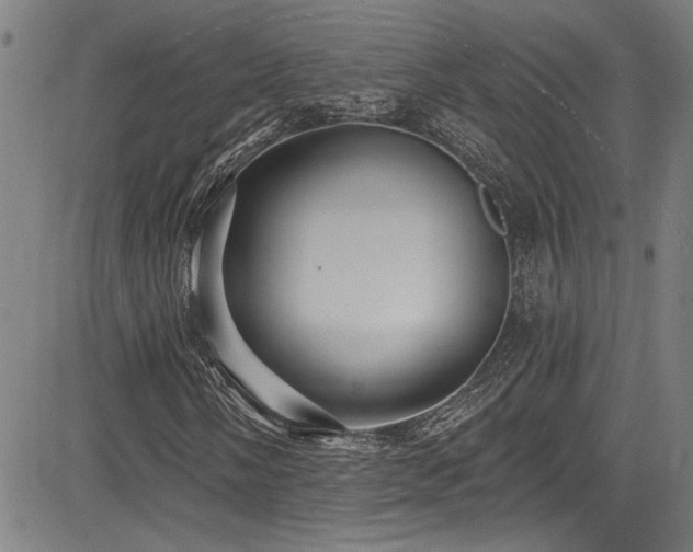 X0000085321058200703091506