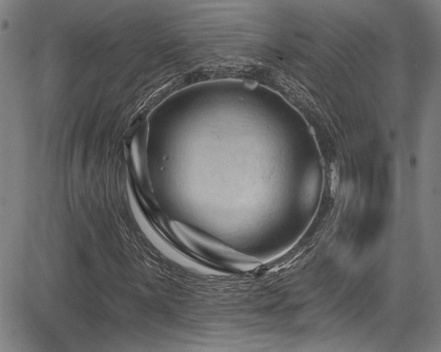 X0000085321059200703091506