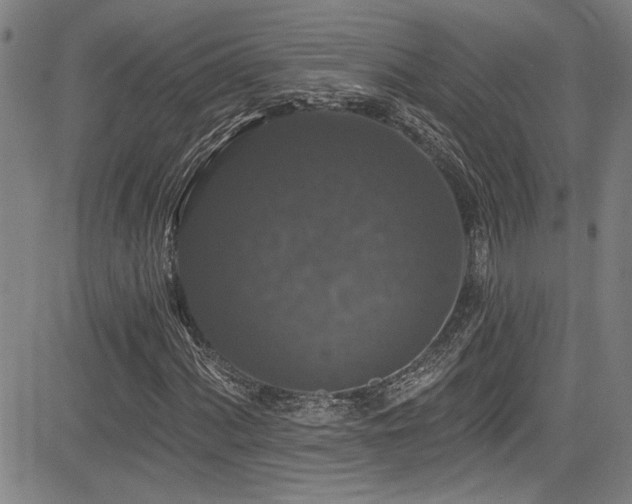X0000085321060200703091506