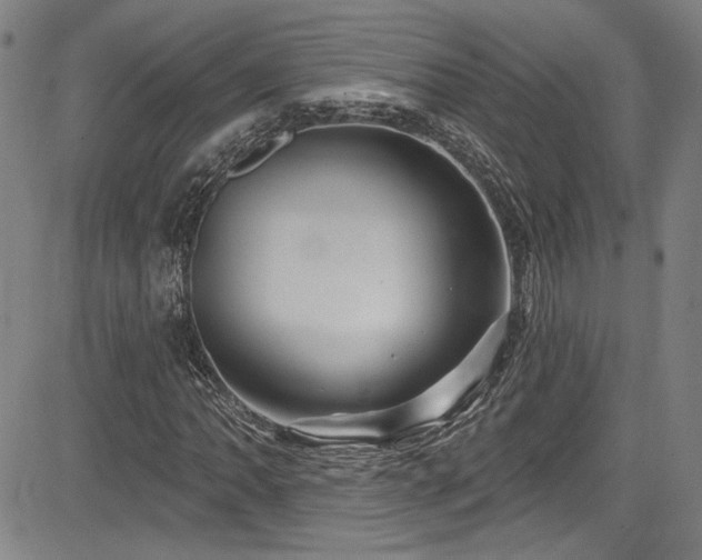 X0000085321062200703091505