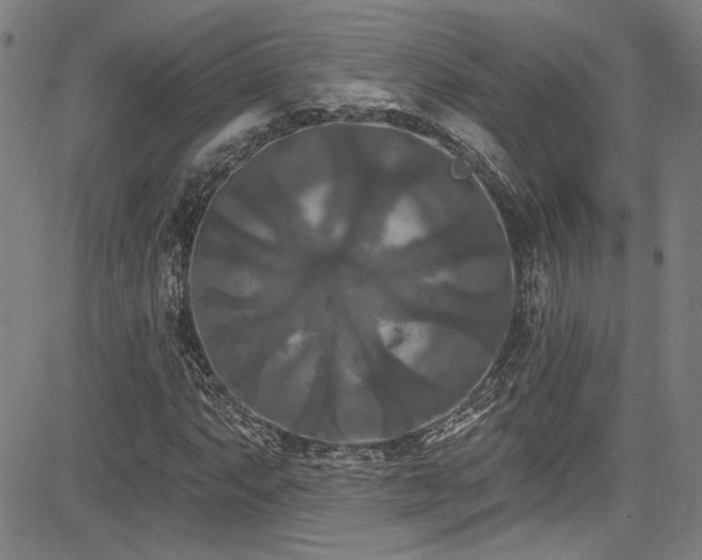 X0000085321063200703091505