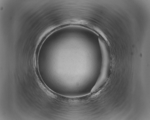 X0000085321080200703091505