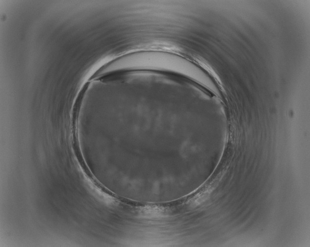 X0000085321087200703091505
