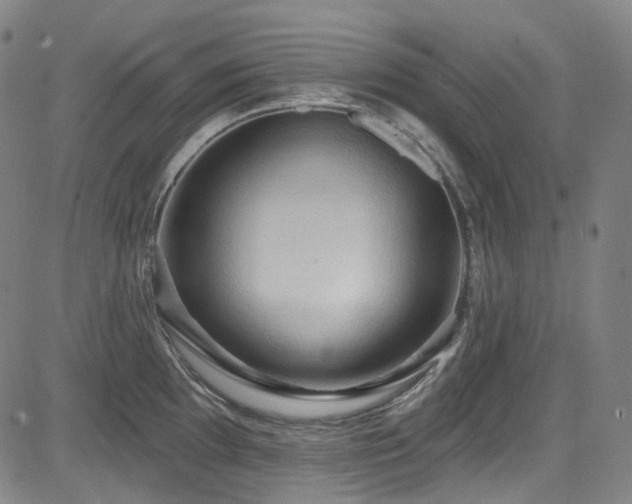 X0000085321097200703091505