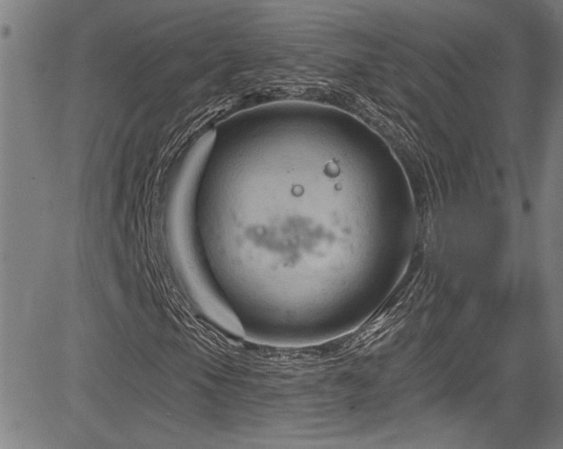 X0000085321105200703091504