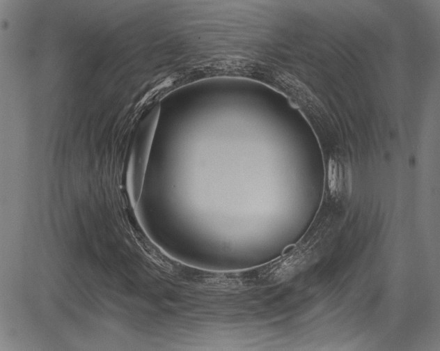 X0000085321107200703091504