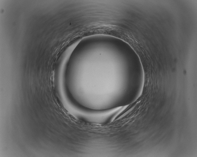 X0000085321109200703091504