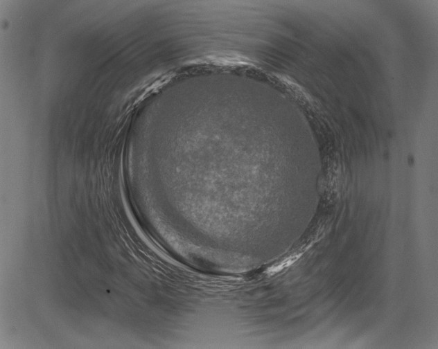 X0000085321110200703091504