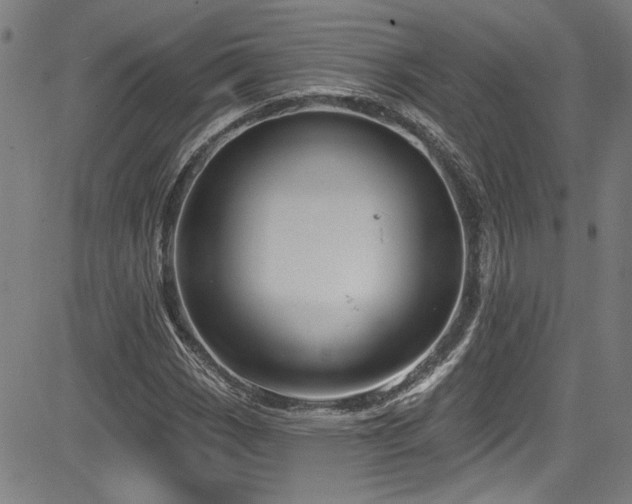 X0000085321113200703091504