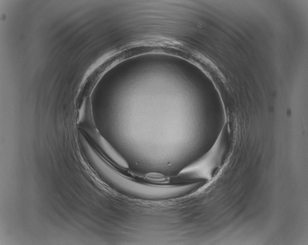 X0000085321114200703091504