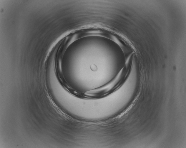 X0000085321118200703091504