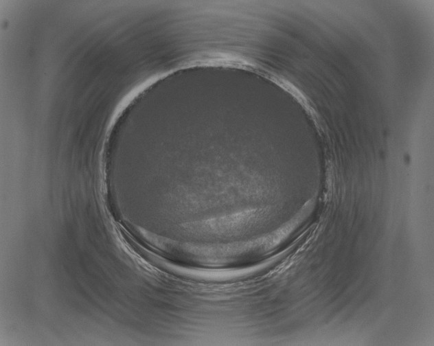 X0000085321120200703091504