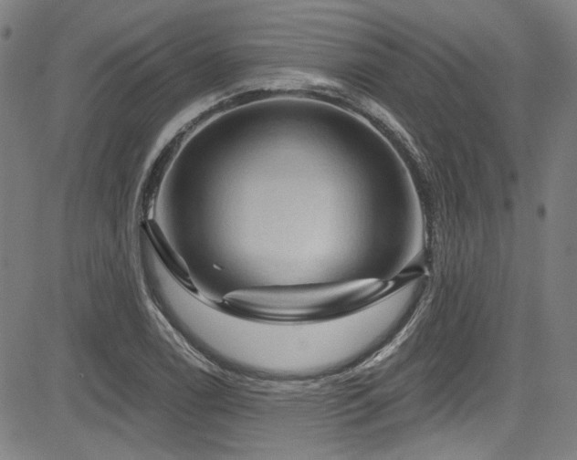 X0000085321122200703091504