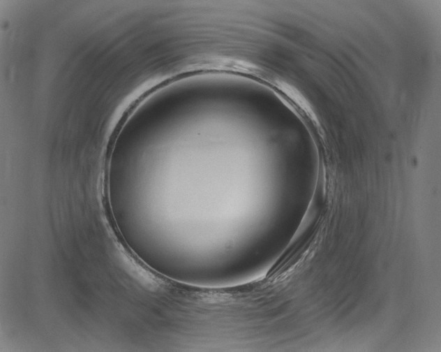 X0000085321136200703091505