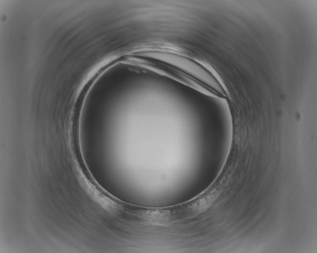 X0000085321139200703091505