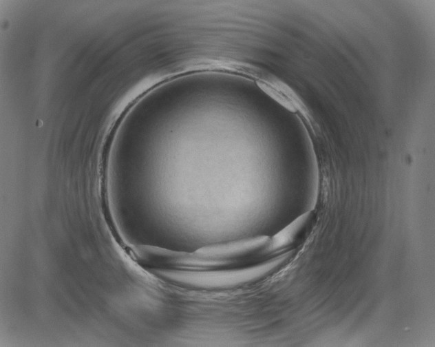 X0000085321143200703091505