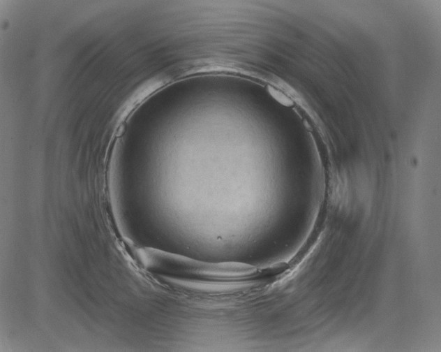 X0000085321145200703091505