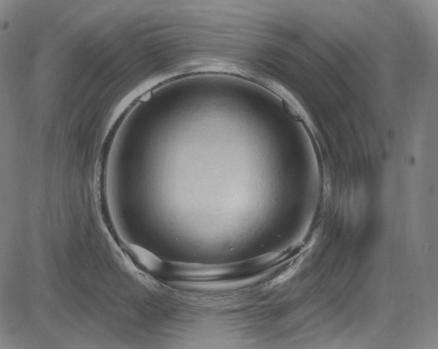 X0000085321149200703091505
