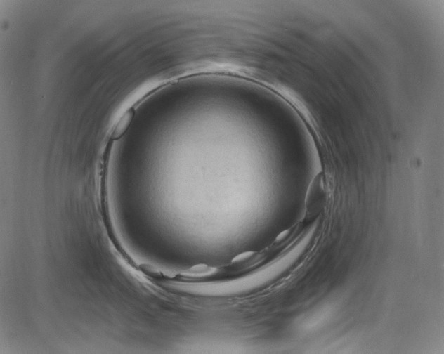 X0000085321151200703091505