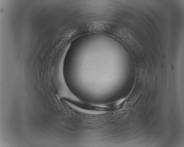 X0000085321153200703091504