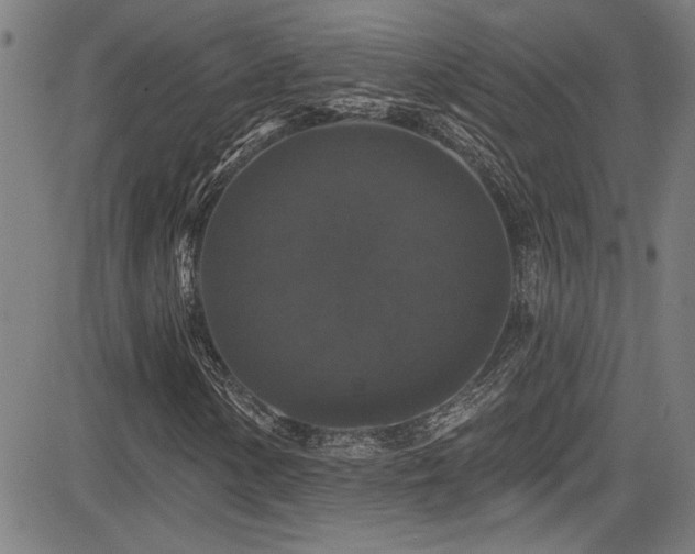 X0000085321154200703091504