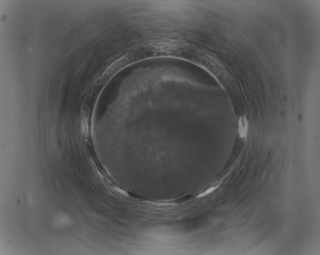 X0000085321155200703091504