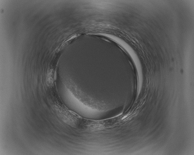 X0000085321156200703091504