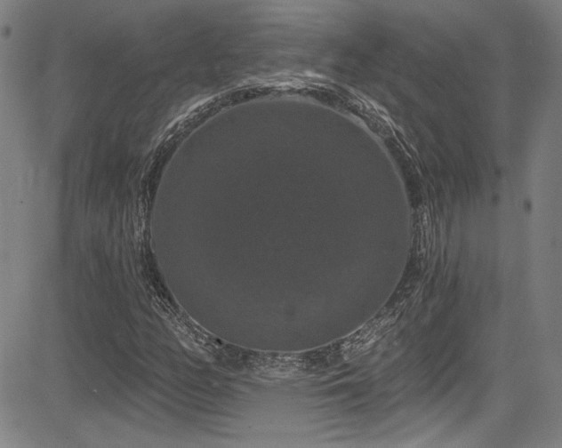 X0000085321158200703091504