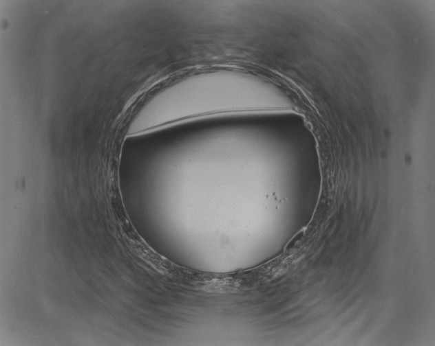 X0000085321160200703091504