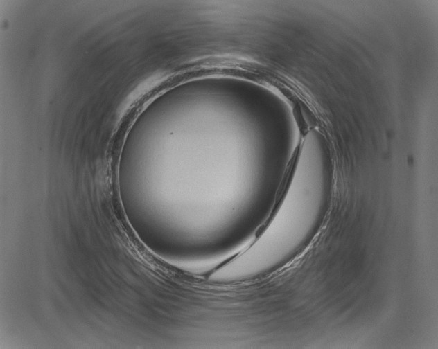 X0000085321164200703091504