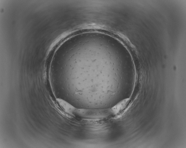 X0000085321167200703091504