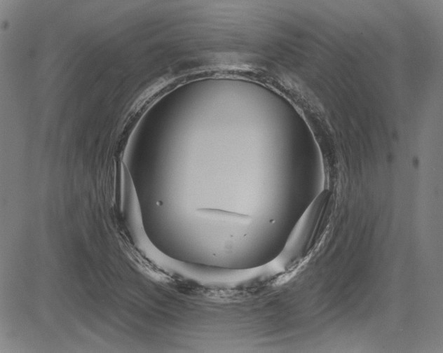 X0000085321169200703091504